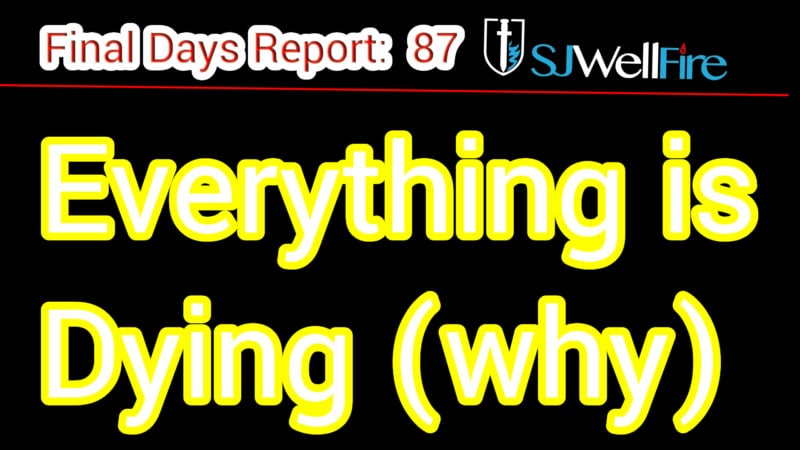 World is Dying Literally.  60% Less Seeds Being Spread..  FDR 87