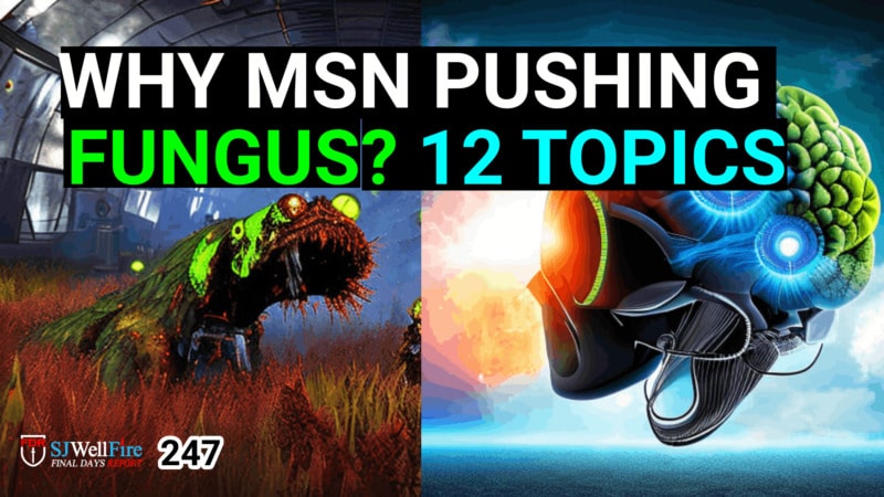 Why is Mainstream News Pushing Fungus.  How can Fungus be used for EVIL?   FDR: 247