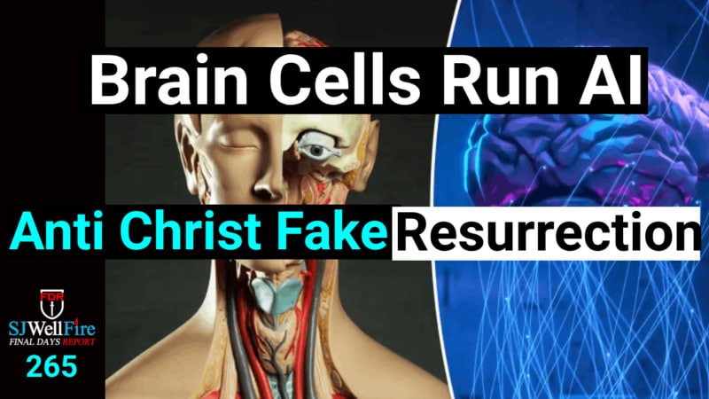 AI run by Brain Tissue.  Primes the Anti Christ False Resurrection and the Bible..   FDR: 265