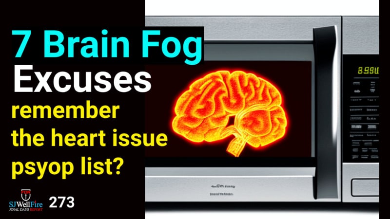 7 Brain Fog Excuses.  What could be the REAL Cause?  FDR: 273