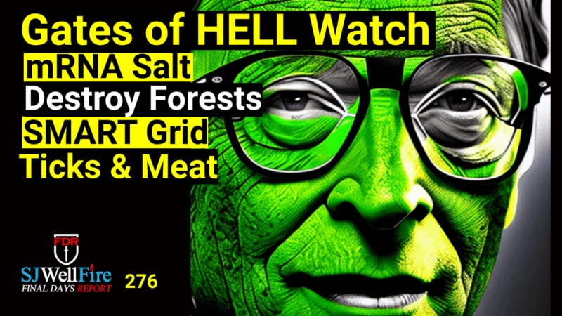 Gates Invests behind mRNA fake salt, DNA altered Fake Meat, and Destroying the Forest.. FDR: 276