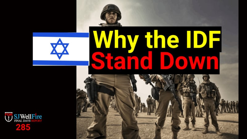 IDF Stand Down, the Evidence.  WHY?  FDR: 285